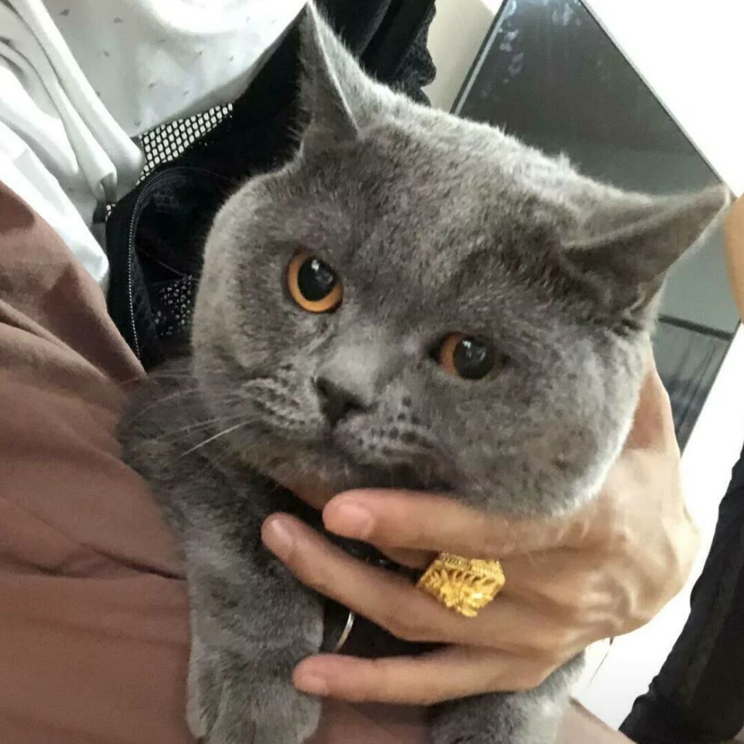qq_ᝰꫛꫀꪝ 玖21