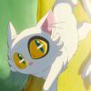 Miaowb-【TITAIKE】T太科网