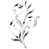 Bohr-