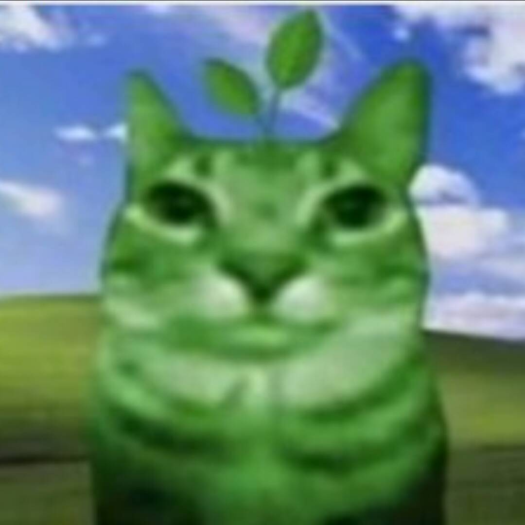 qq_勿扰63