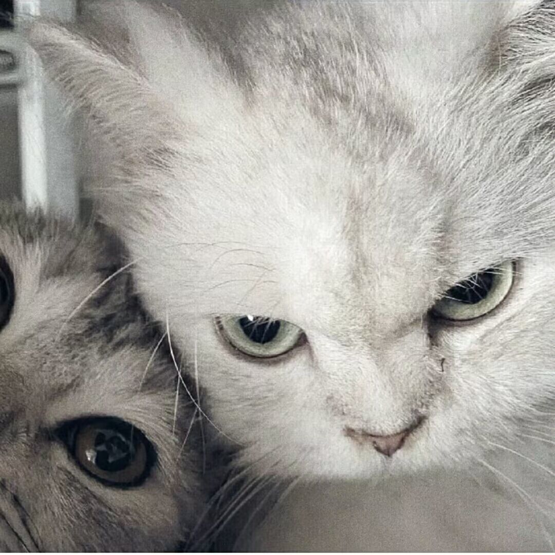 qq_៴84