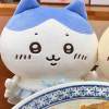 qqq555555555-【TITAIKE】T太科网