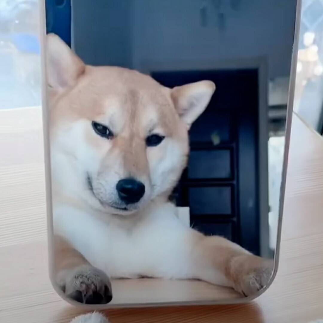 qq_白宗骏31