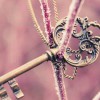 q7664-【TITAIKE】T太科网