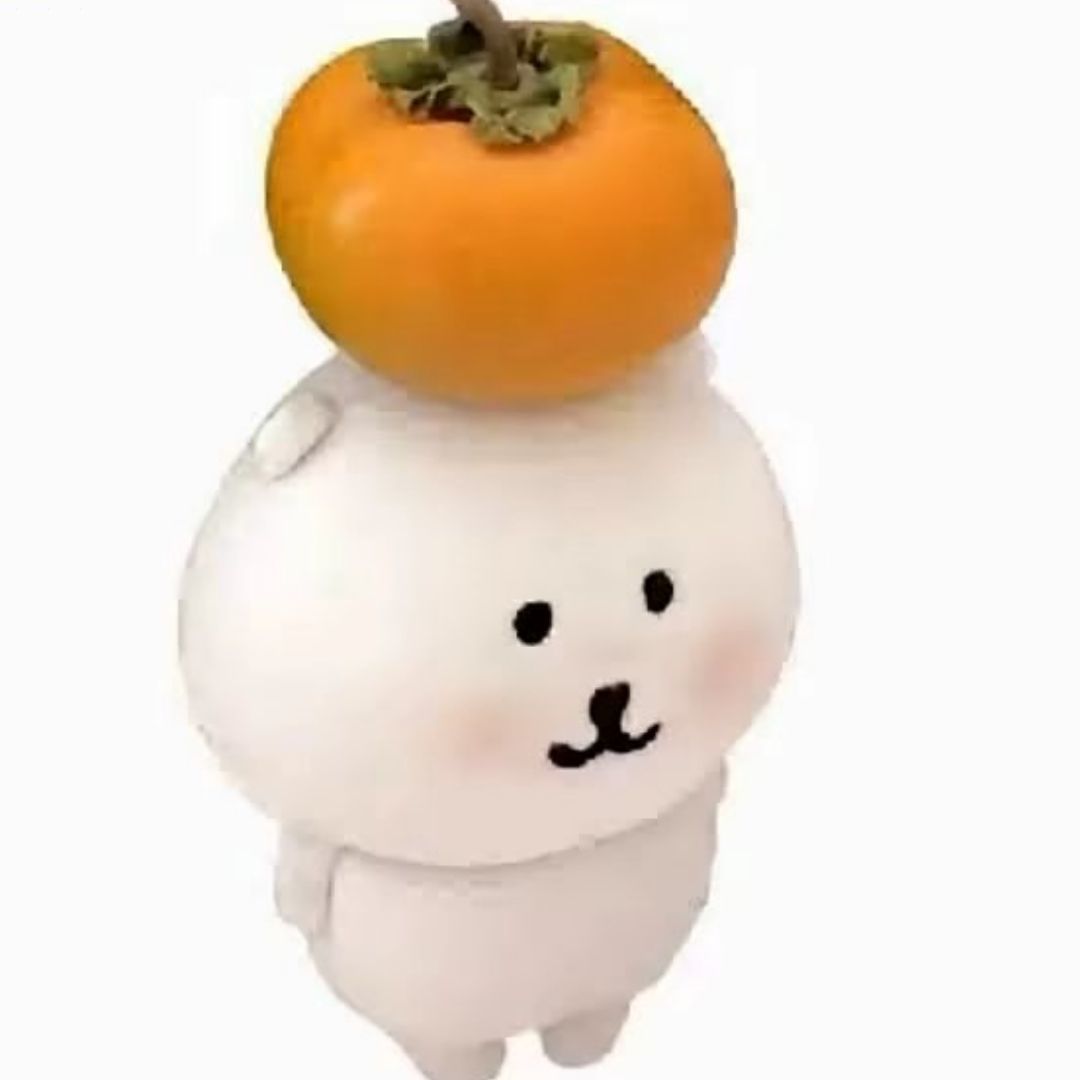 qq_zZ15