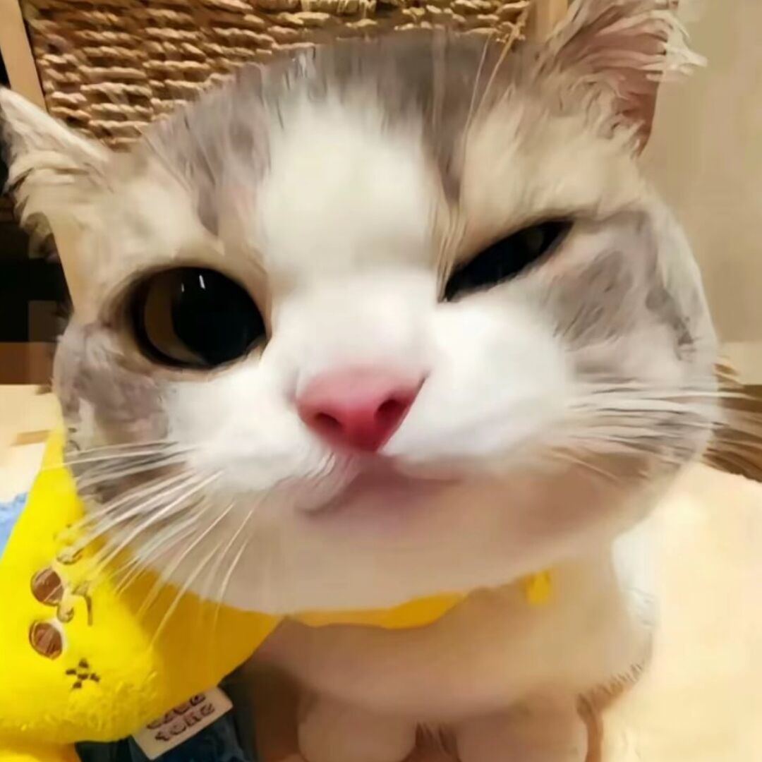 qq_哈哈32