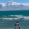 青水映寒梅