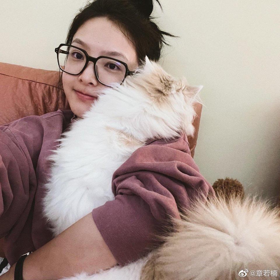 qq_心雨37