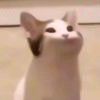 YYFQWQ-【TITAIKE】T太科网