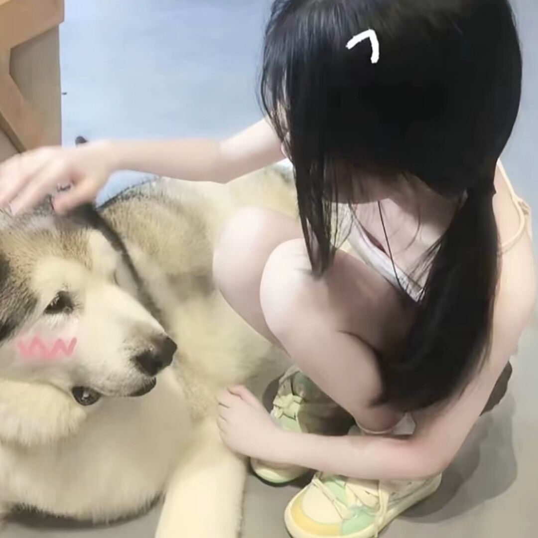 用户头像