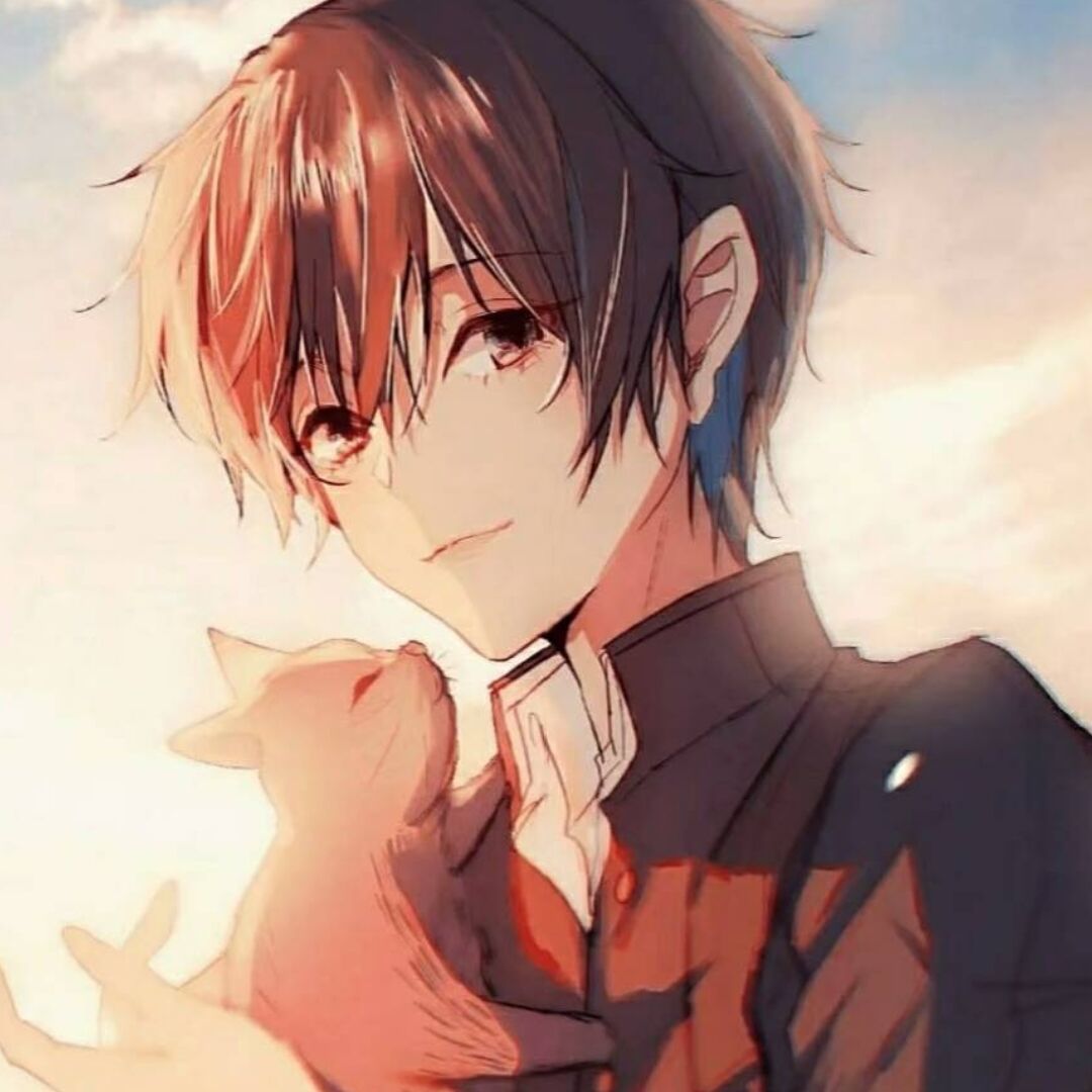 羽