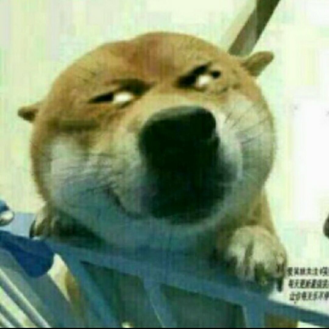 qq_水主臣服99