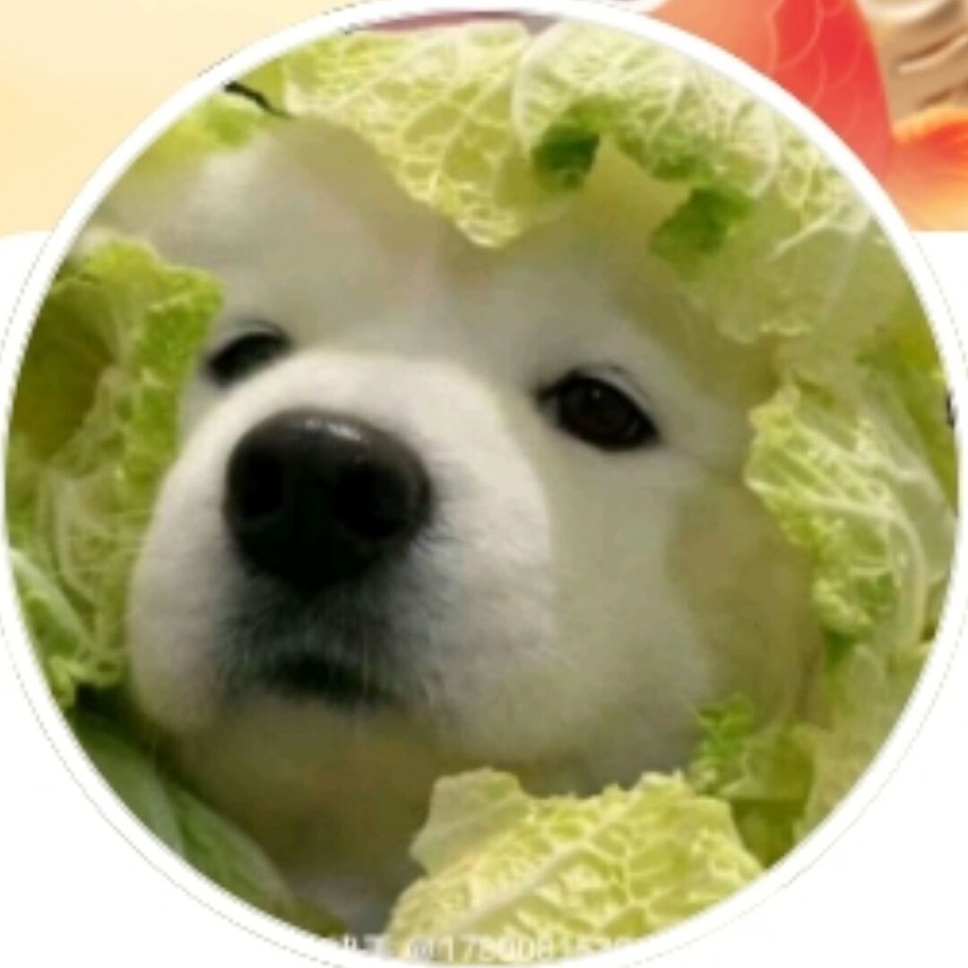 qq_一棵竹孙62