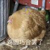 zxc12345 - 极核GetShell