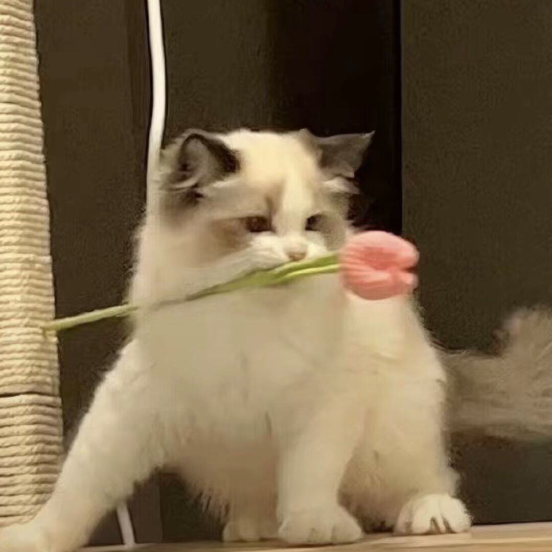 qq_错觉78