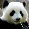 伱湿钚湿儍～的头像