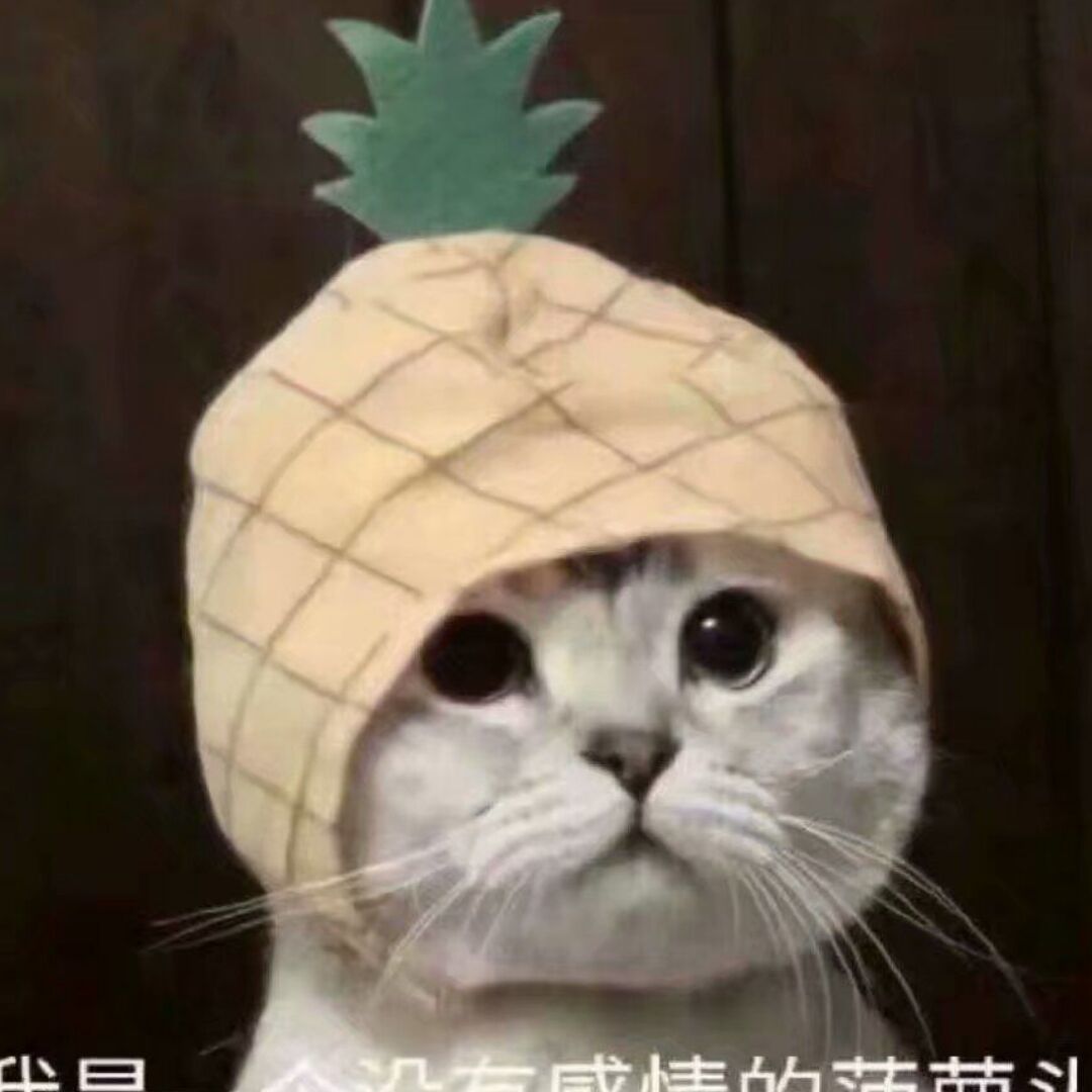 qq_156592267022