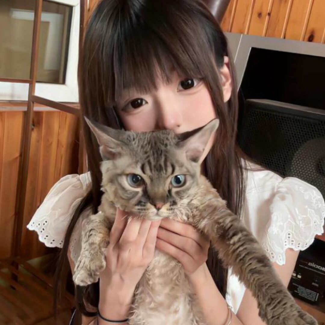 用户头像