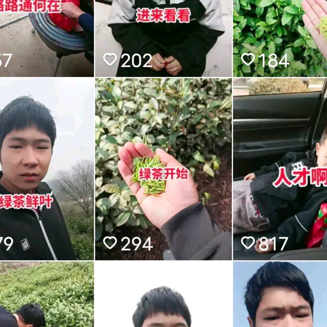 qq_该死的温柔91