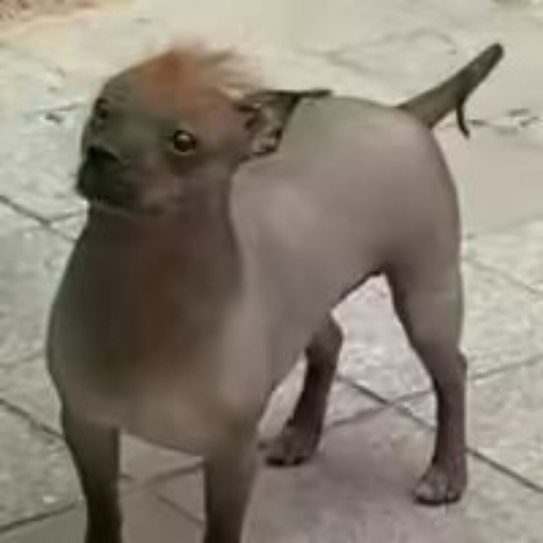 qq_i绑69