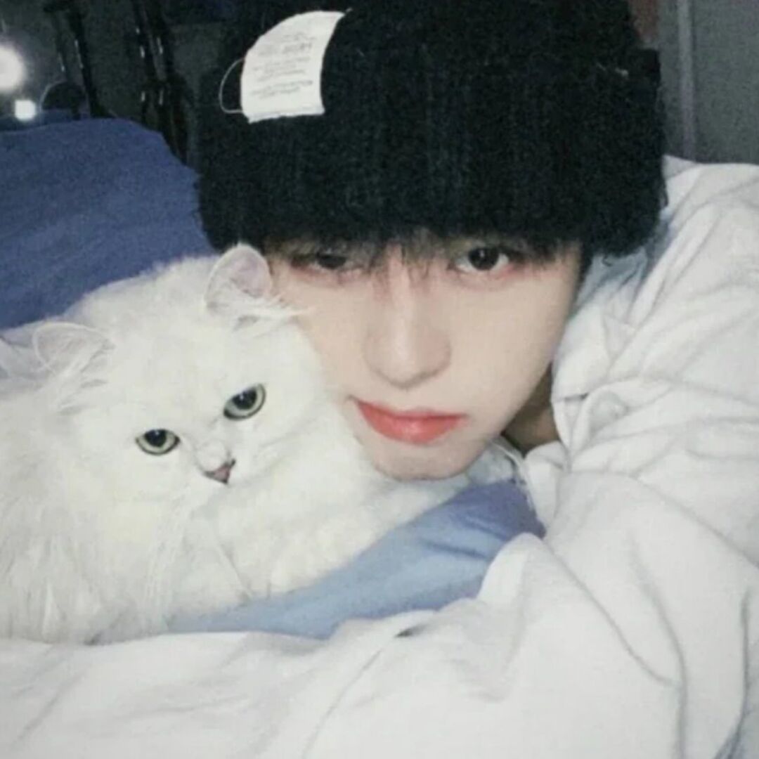 qq_www88