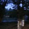 summy-【TITAIKE】T太科网