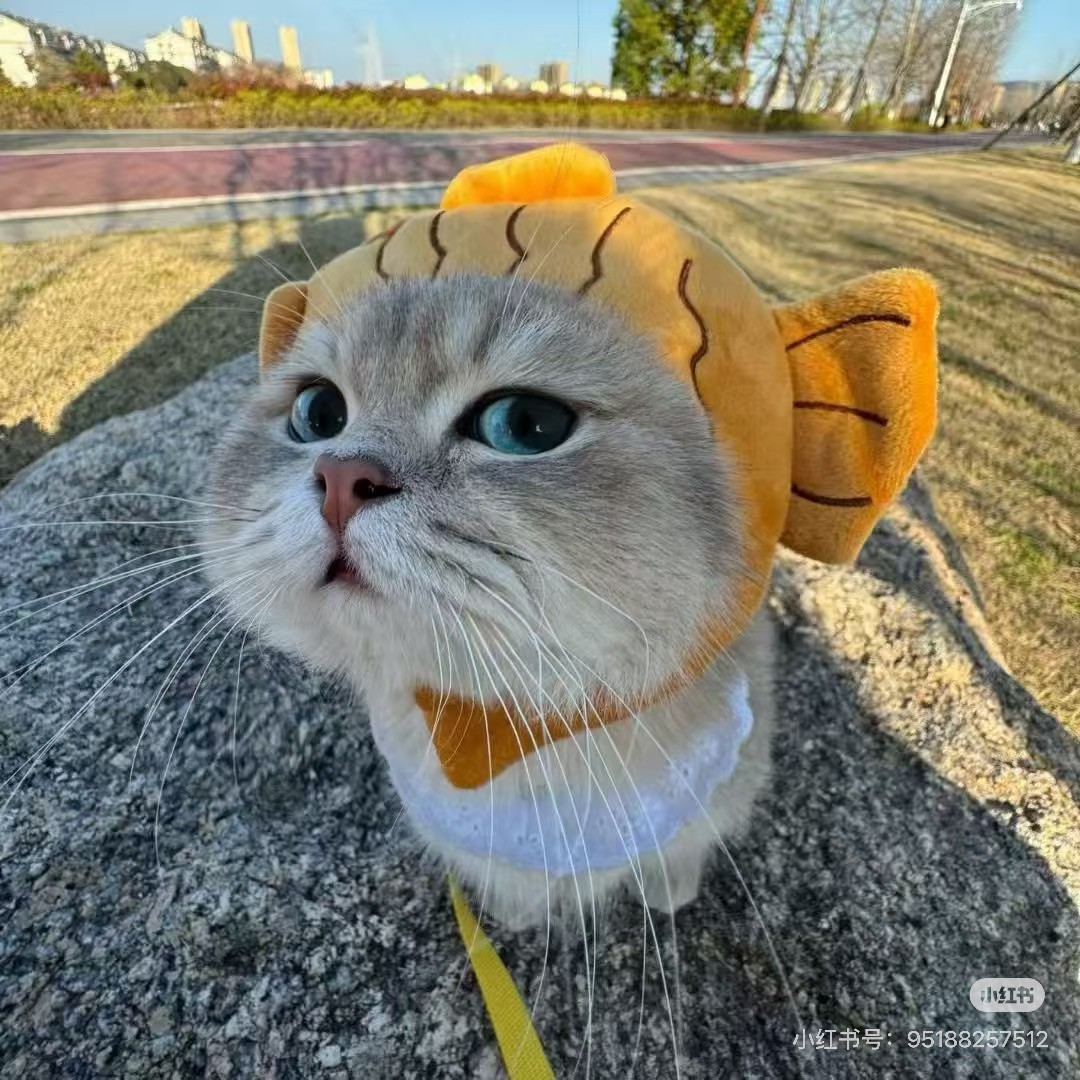 果宝
