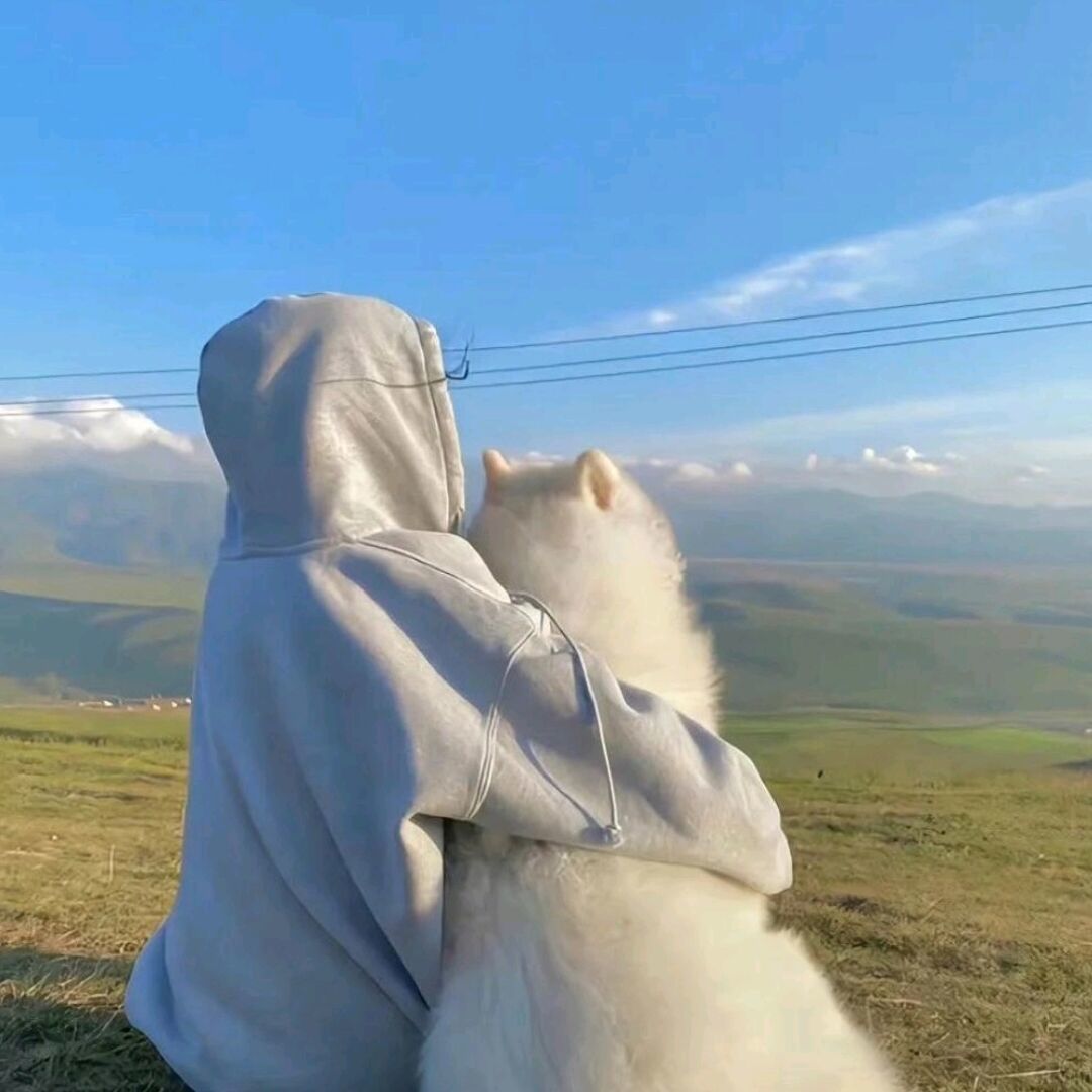 qq_半个乌布雷46