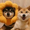 有幸遇见☺