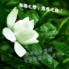 风向决定发型d软趴趴人类根据地-软趴趴小黑屋-电脑软件-人类一败涂地-资源下载软趴趴小黑屋