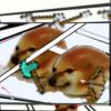 Im下壁-【TITAIKE】T太科网