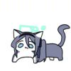 夢笑顏-【TITAIKE】T太科网