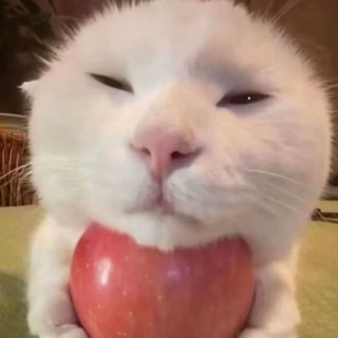qq_煜37