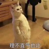 网海书舟