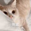 kinghhhs-【TITAIKE】T太科网