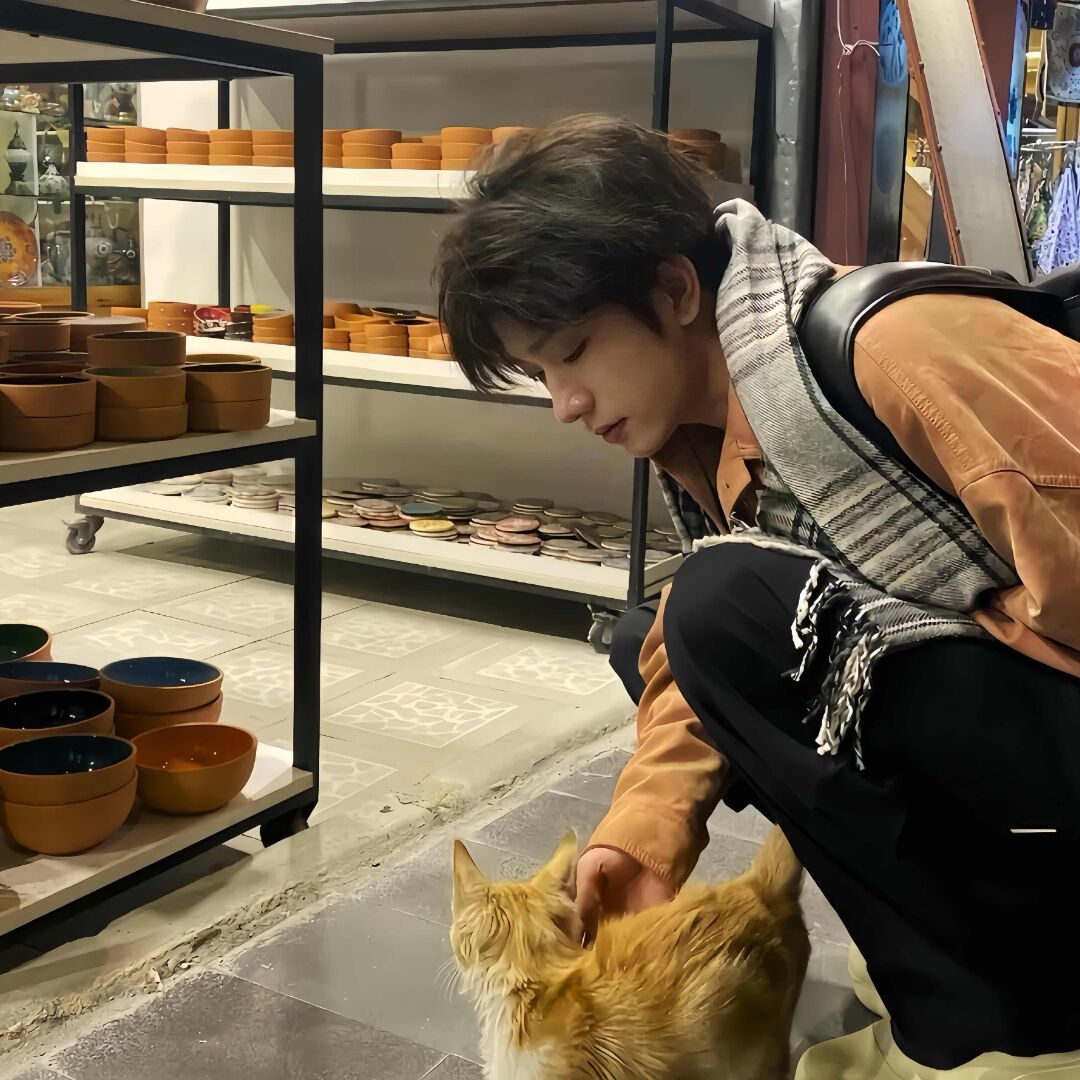 qq_雾里有句情话ꦿ໊ོﻬ82