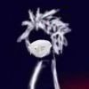 The_INK-【TITAIKE】T太科网