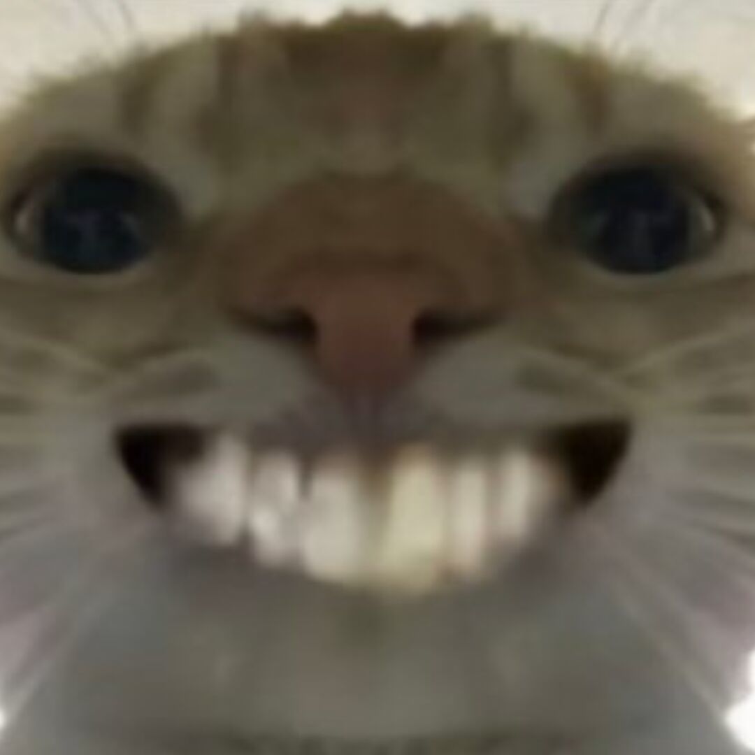 qq_冷あ80