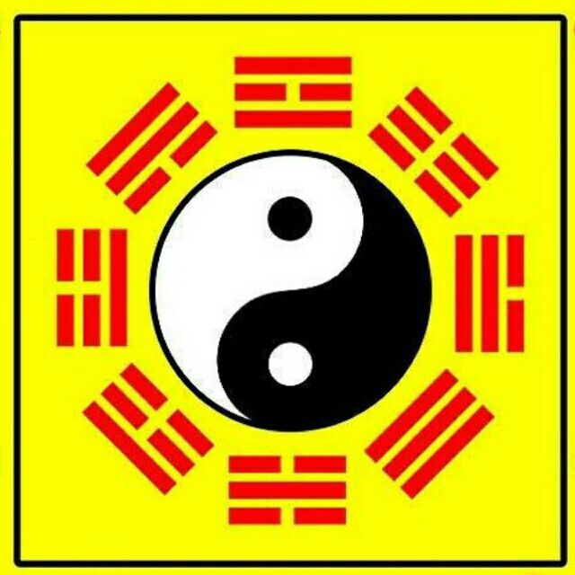 qq_济南♂木针子29