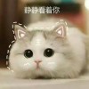 Shallowsing-极客酷