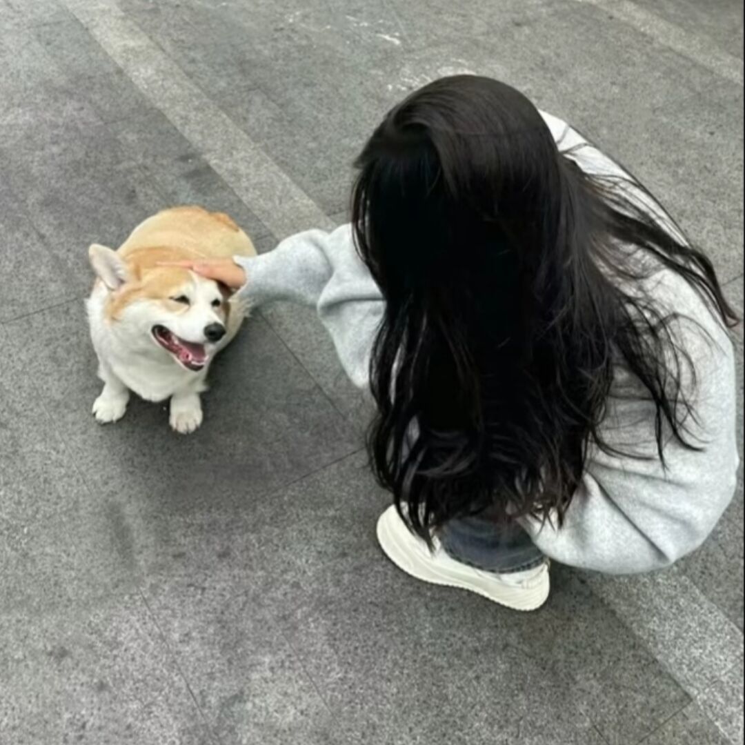 用户头像