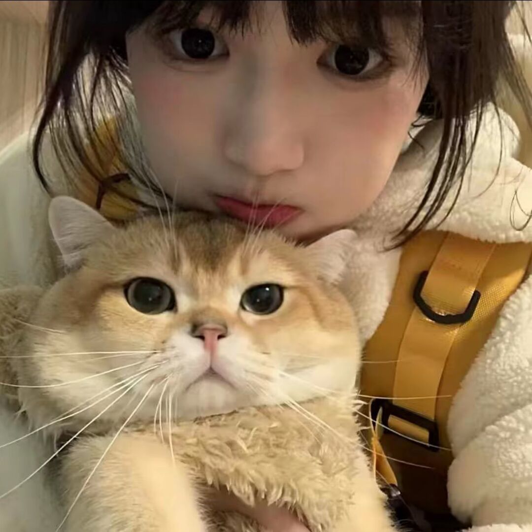 qq_。66