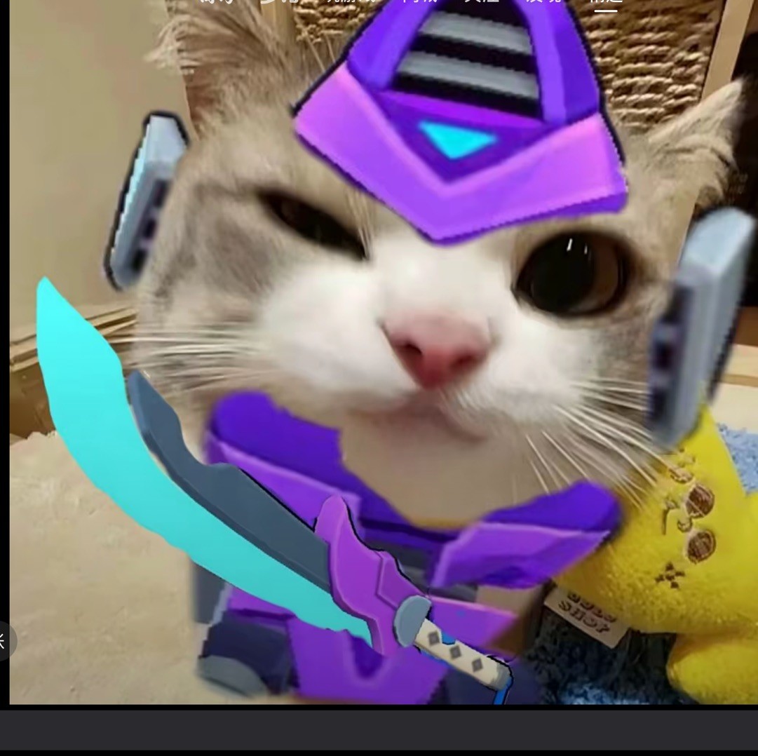 qq_猫堡44
