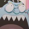 molamola - 极核GetShell