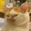 用户29066357-风行者社区