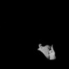 JC_Official-【TITAIKE】T太科网