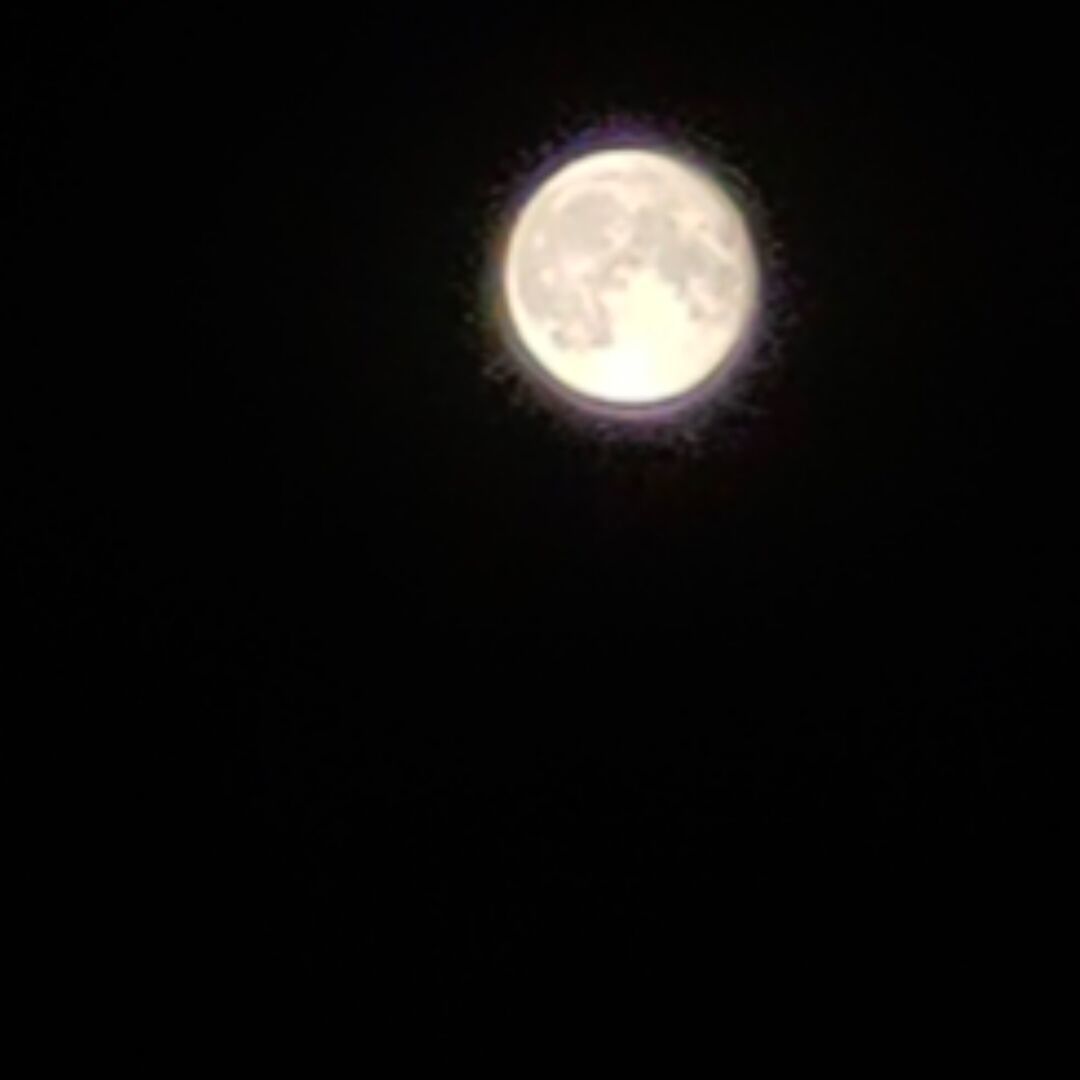 qq_漫步→→人生麓45