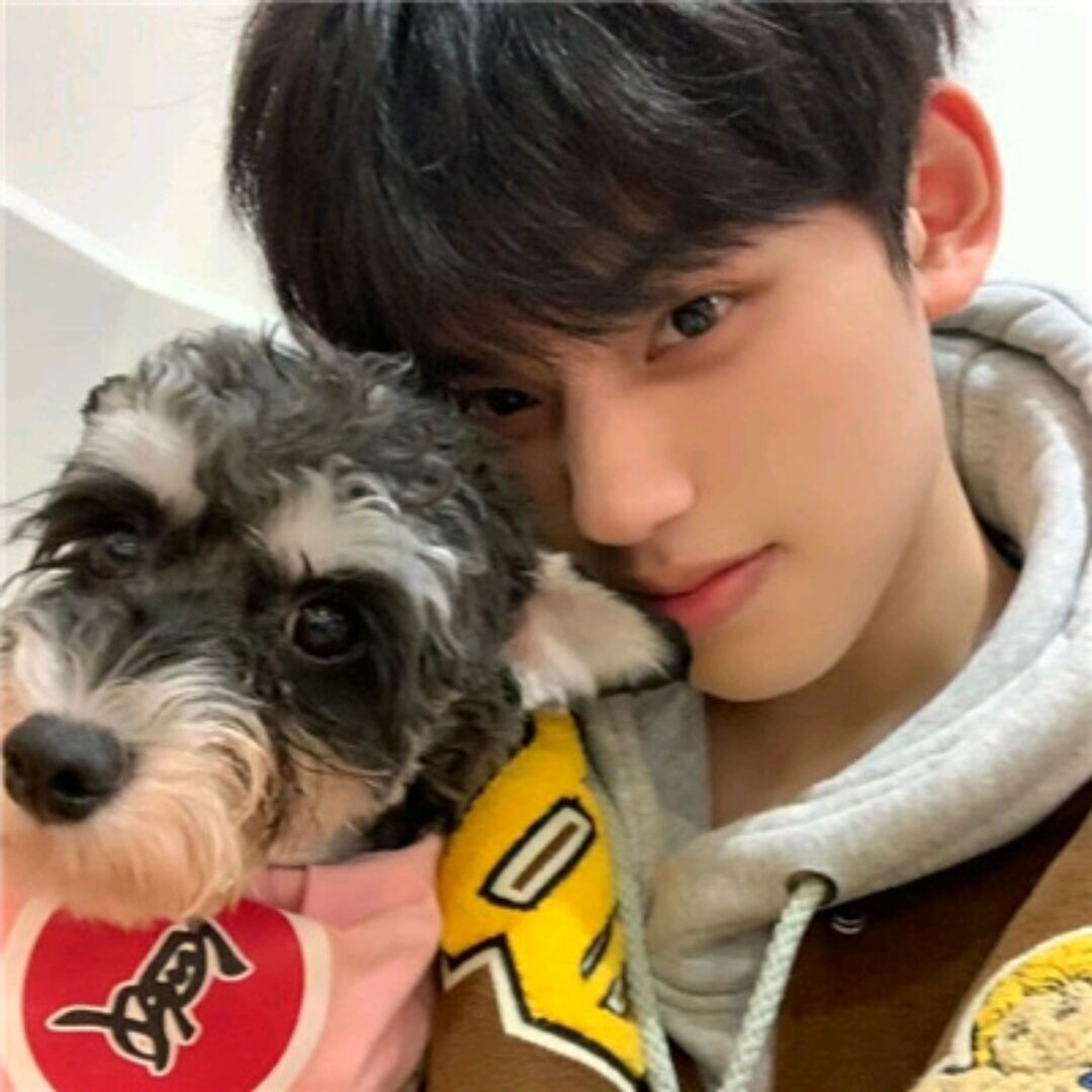 qq_仁雷84