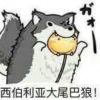 花狗-【TITAIKE】T太科网
