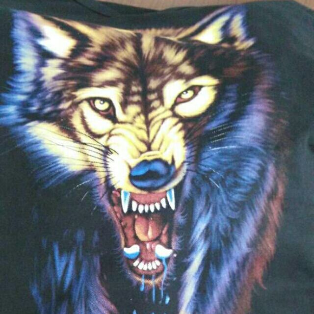 流星流星我问你